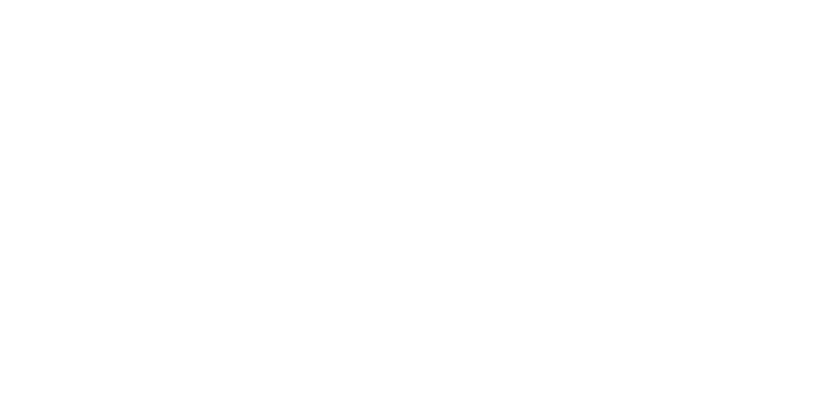 The IT Run Sprint-2